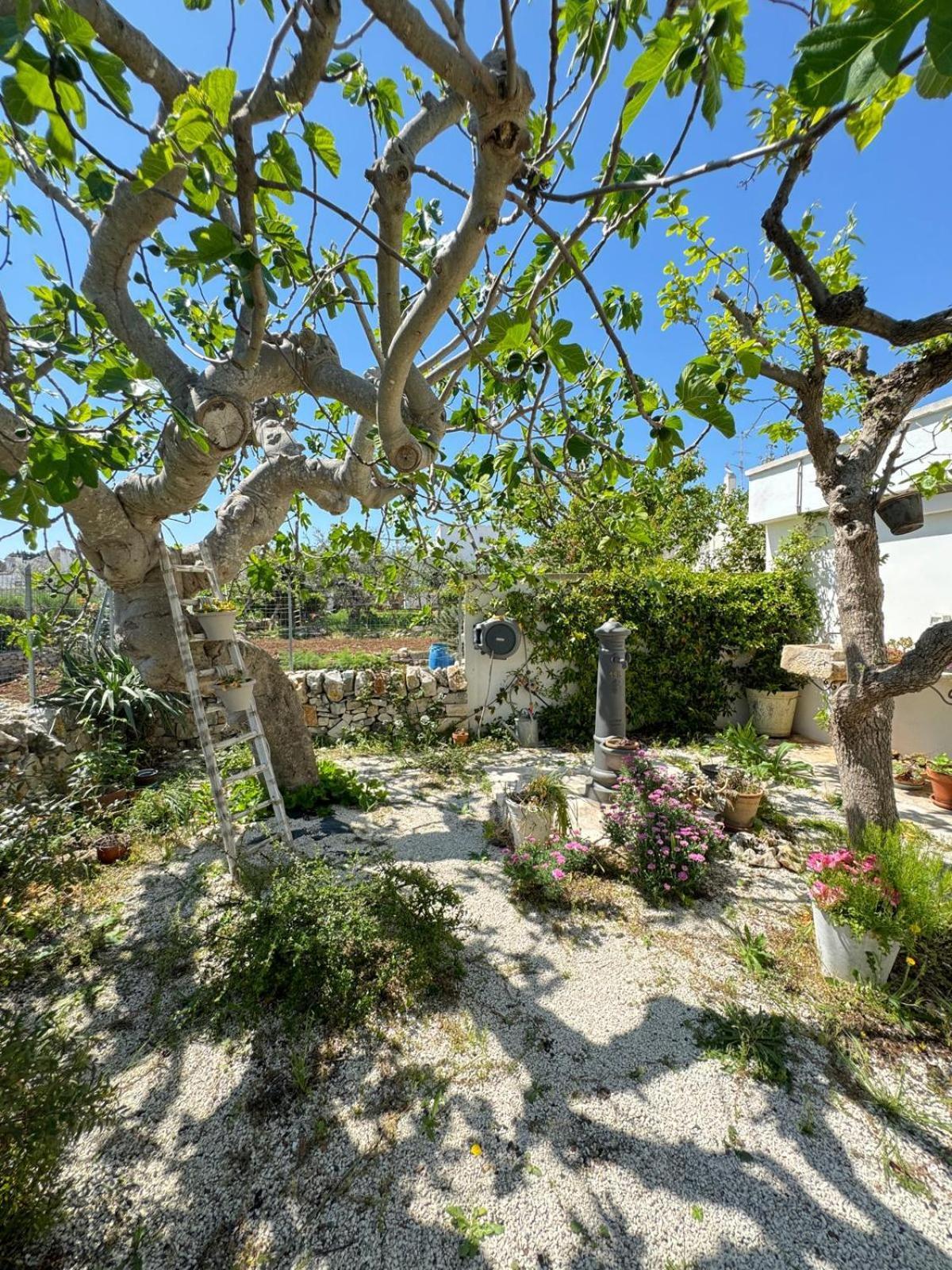 Trulli Resort Aia Piccola Alberobello Exteriör bild