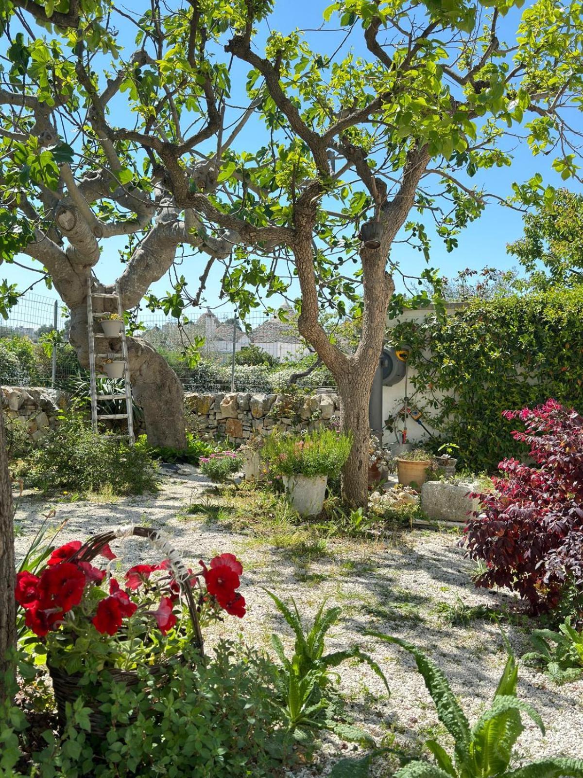 Trulli Resort Aia Piccola Alberobello Exteriör bild